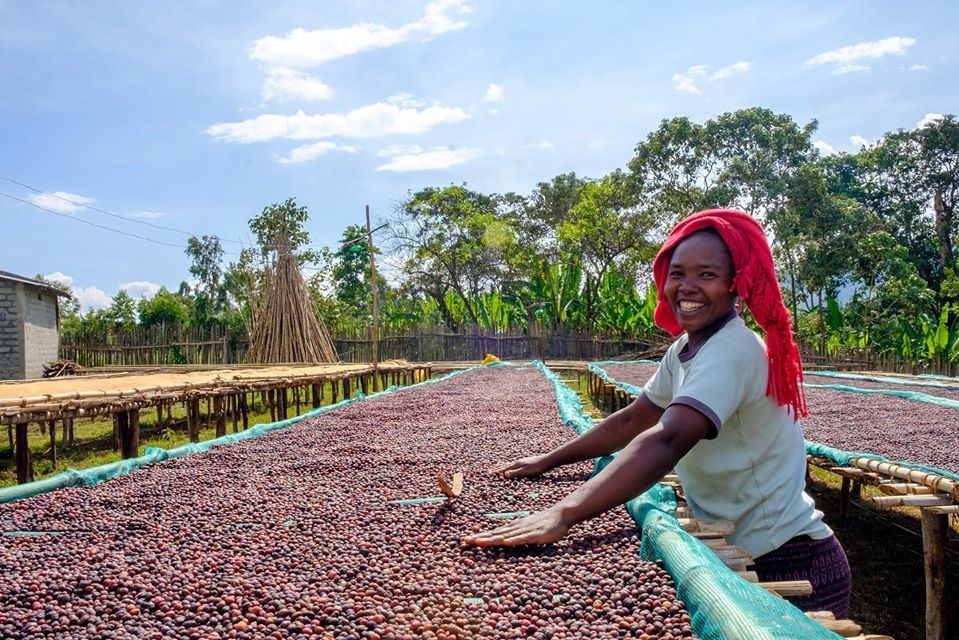 First coffee washing station in Kercha